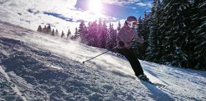 skiing-1723857-960-720
